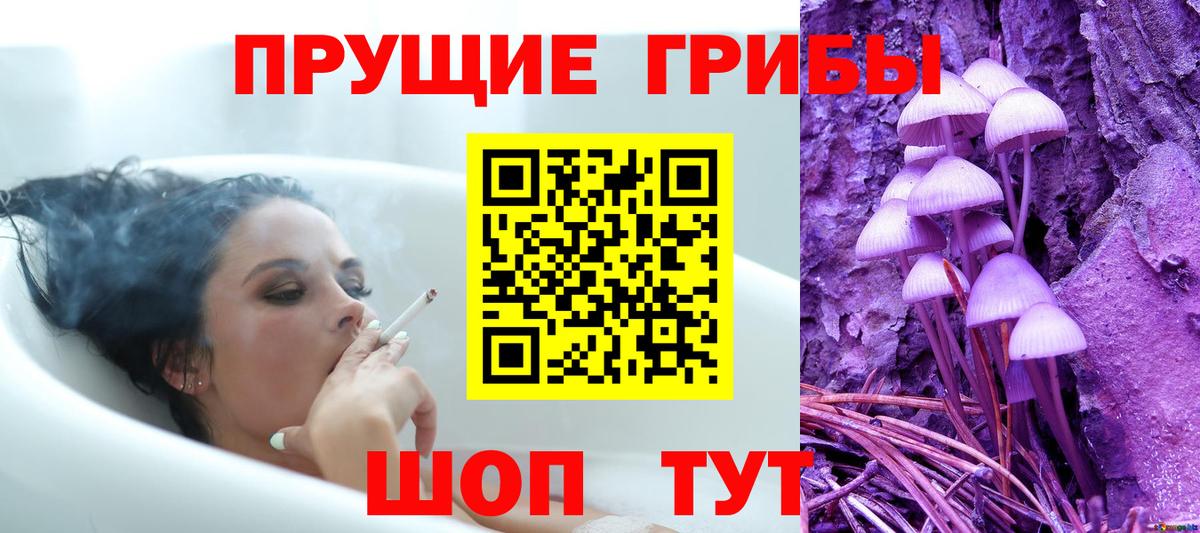Галлюциногенные грибы GOLDEN TEACHER Нарткала
